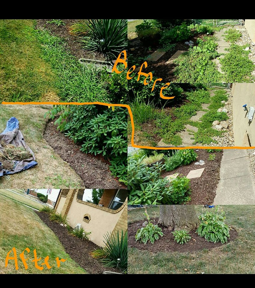 SalvatoreweedingBeforeAfter